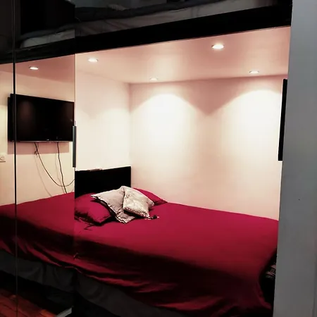 Le Petit Nid Parisien Appartement